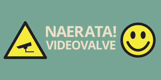 naerata, videovalve, silt