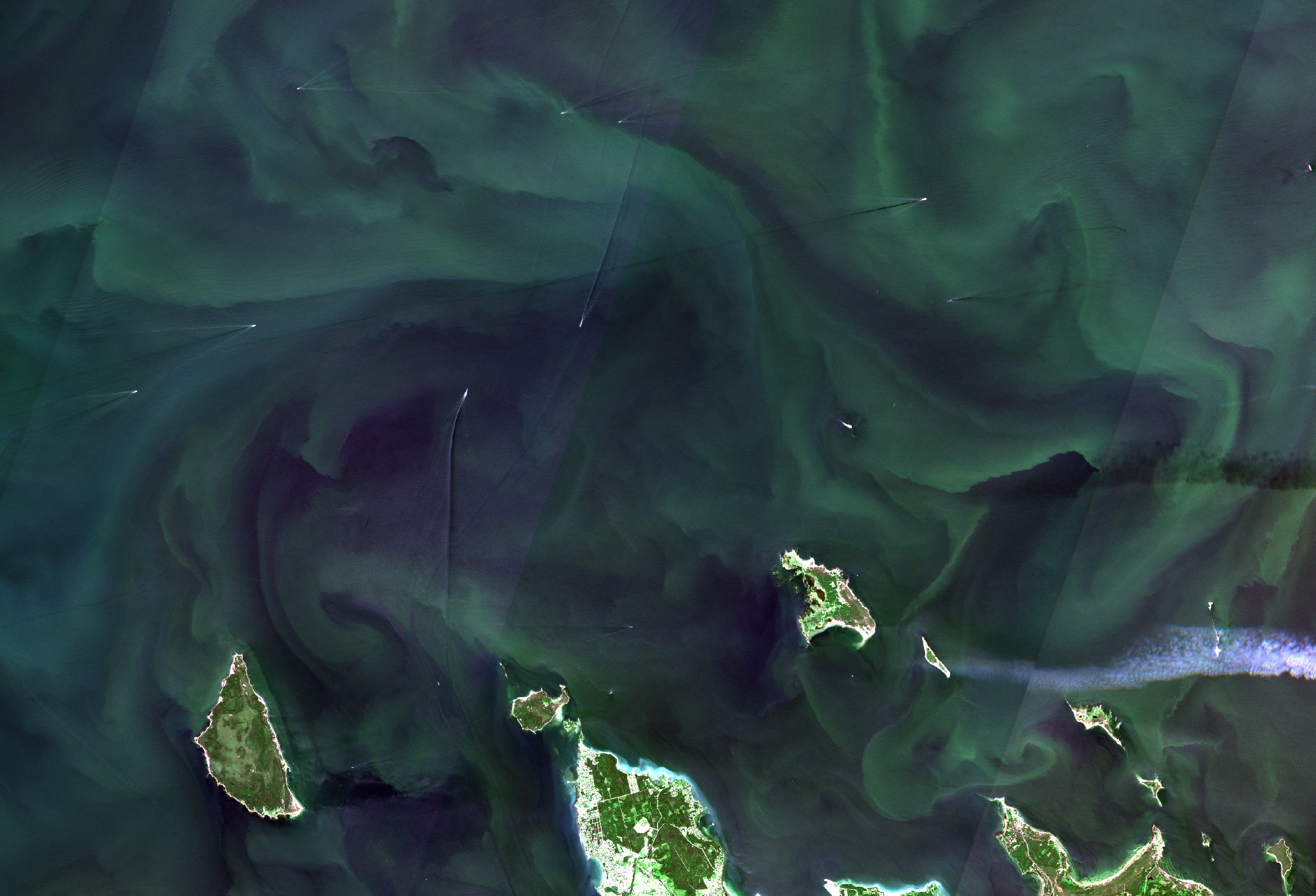 Sentinel-2 satelliidipilt laevadest tsüanobakterisupis Tallinna lahe suudmes