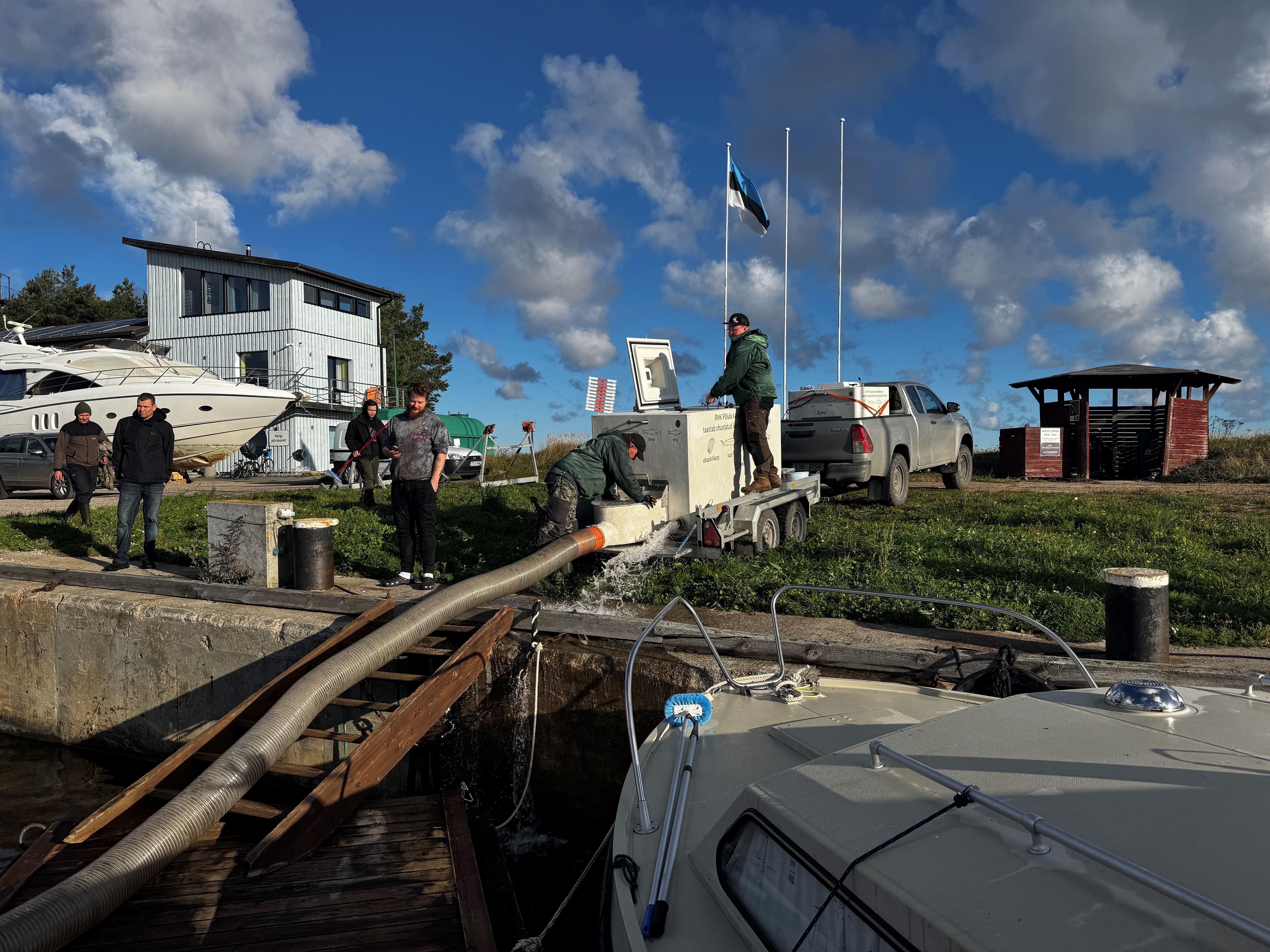 kalade asustamine Vergis