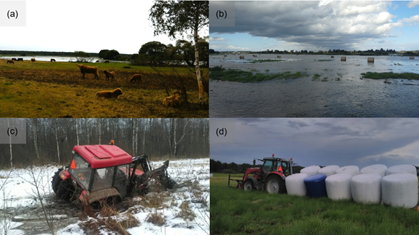 Alam-pedja niidu hooldamine