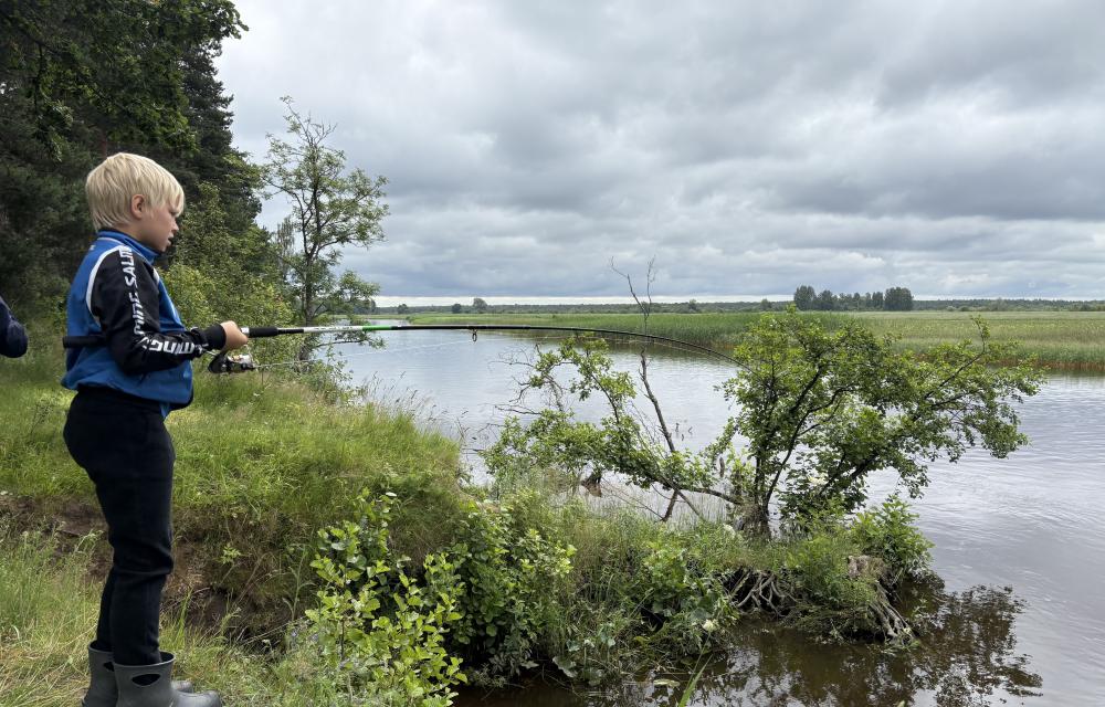laps õngega